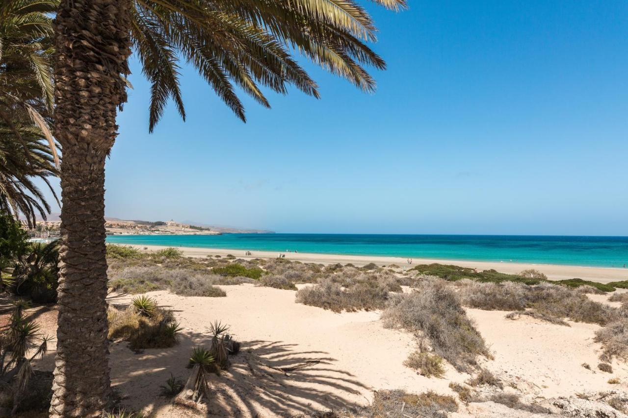 Home2Book Hola Rolls Corralejo Center Eksteriør billede